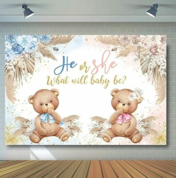 Gender reveal-bears